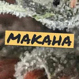 Makaha Cannabis Strain