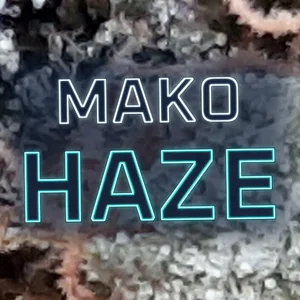 Mako Haze Cannabis Strain