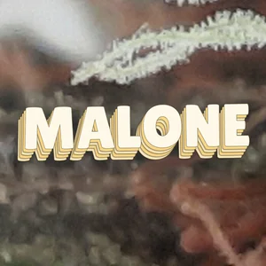 Malone Cannabis Strain