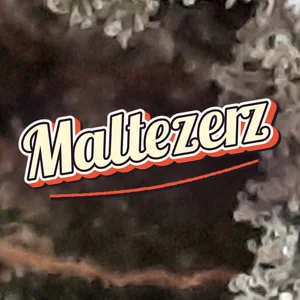 Maltezerz Cannabis Strain