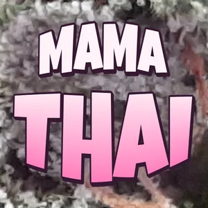 Mama Thai Cannabis Strain