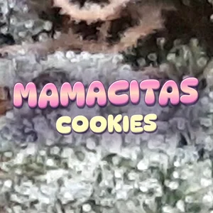 Mamacitas Cookies Cannabis Strain