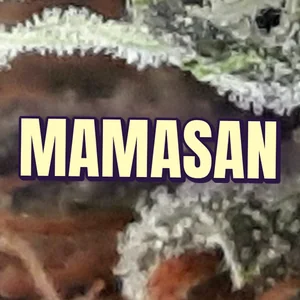 Mamasan Cannabis Strain