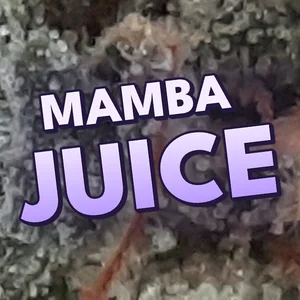 Mamba Juice Cannabis Strain