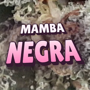 Mamba Negra Cannabis Strain