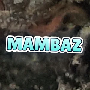 Mambaz Cannabis Strain