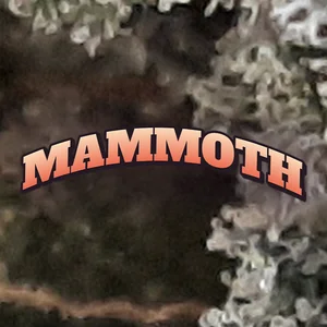 Mammoth Cannabis Strain