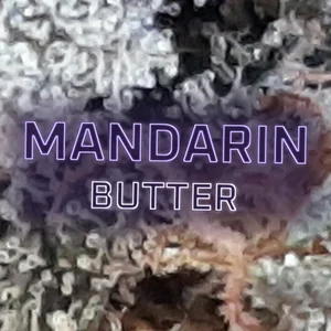 Mandarin Butter Cannabis Strain