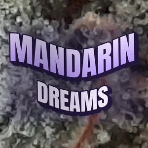 Mandarin Dreams Cannabis Strain