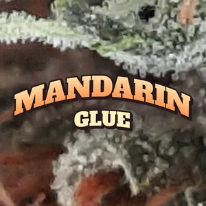 Mandarin Glue Cannabis Strain