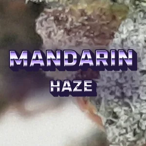 Mandarin Haze Cannabis Strain