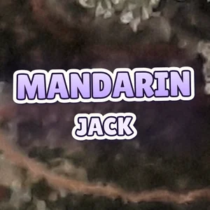 Mandarin Jack Cannabis Strain