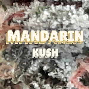 Mandarin Kush Cannabis Strain