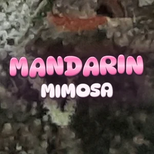 Mandarin Mimosa Cannabis Strain