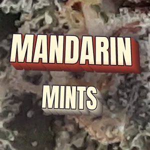 Mandarin Mints Cannabis Strain