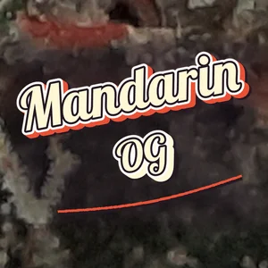 Mandarin OG Cannabis Strain