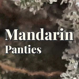 Mandarin Panties Cannabis Strain