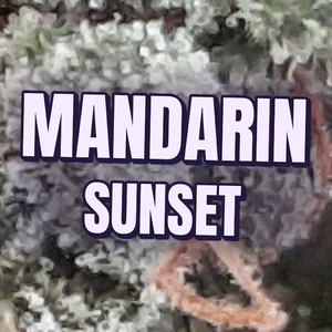 Mandarin Sunset Cannabis Strain