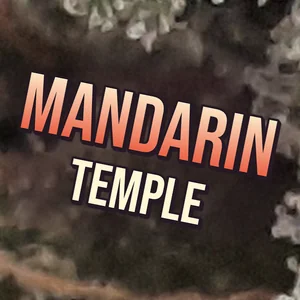 Mandarin Temple Cannabis Strain