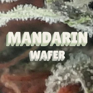 Mandarin Wafer Cannabis Strain