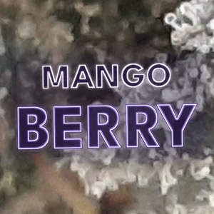 Mango Berry Cannabis Strain