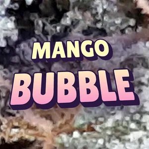 Mango Bubble Cannabis Strain