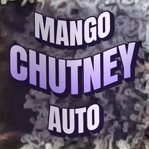 Mango Chutney Auto Cannabis Strain
