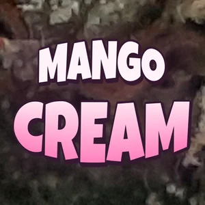 Mango Cream Cannabis Strain
