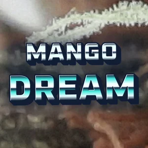 Mango Dream Cannabis Strain