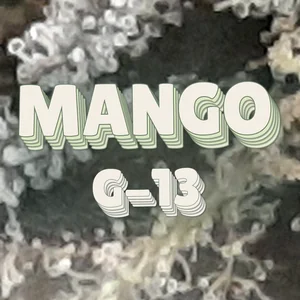 Mango G-13 Cannabis Strain