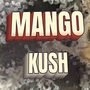 Mango Kush Cannabis Strain