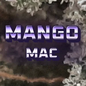 Mango Mac Cannabis Strain