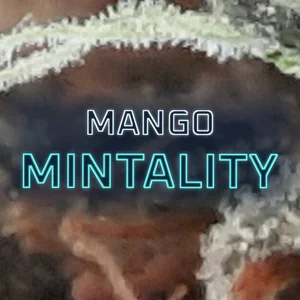 Mango Mintality Cannabis Strain