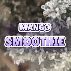 Mango Smoothie Cannabis Strain