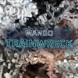 Mango Trainwreck Cannabis Strain