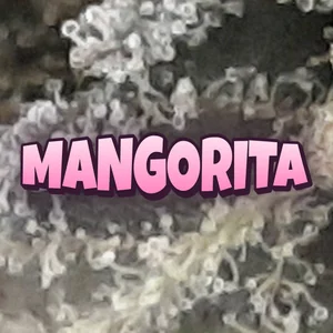 Mangorita Cannabis Strain