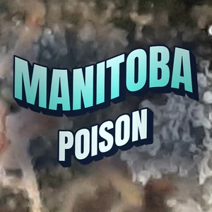 Manitoba Poison Cannabis Strain