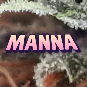Manna Cannabis Strain