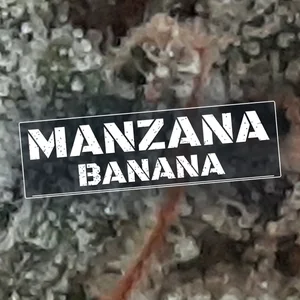 Manzana Banana Cannabis Strain