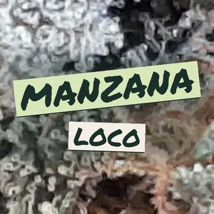 Manzana Loco Cannabis Strain