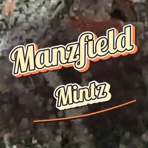 Manzfield Mintz Cannabis Strain
