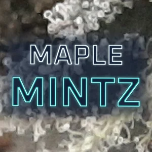 Maple Mintz Cannabis Strain