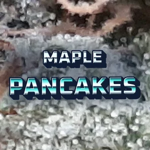 Maple Pancakes Cannabis Strain
