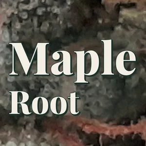 Maple Root Cannabis Strain