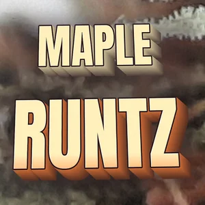 Maple Runtz Cannabis Strain