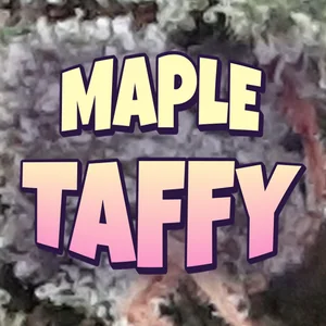 Maple Taffy Cannabis Strain