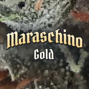 Maraschino Gold Cannabis Strain