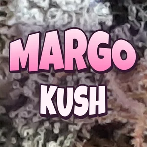 Margo Kush Cannabis Strain