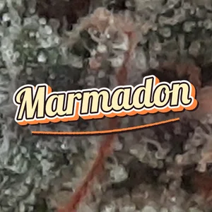Marmadon Cannabis Strain