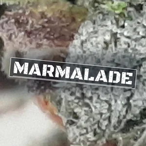 Marmalade Cannabis Strain
